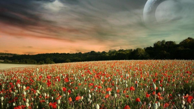 MacOS的哪个设计让你非常恼火？